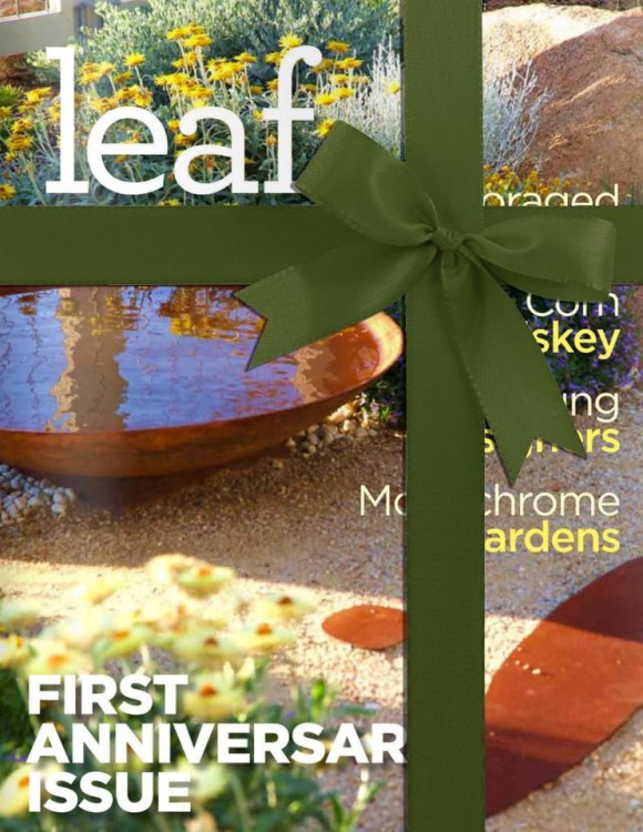 read leaf fall issue