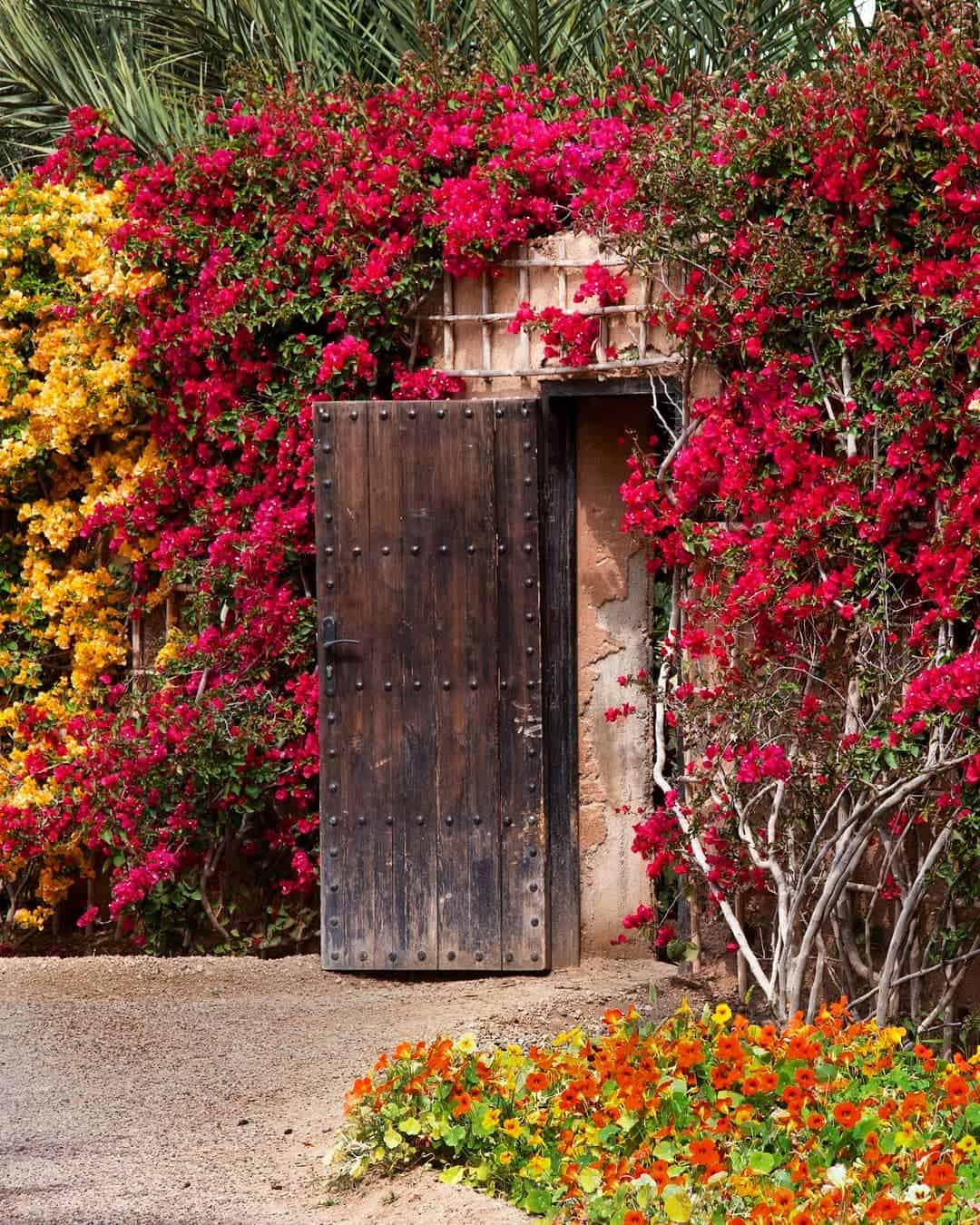 A rustic wooden door set into a stone wall, surrounded by vibrant red and yellow bougainvillea flowers reminiscent of a Marrakech Garden. The ground is covered in gravel, with additional orange and yellow flowers in the foreground, adding a burst of color to this serene Garden Gallery.