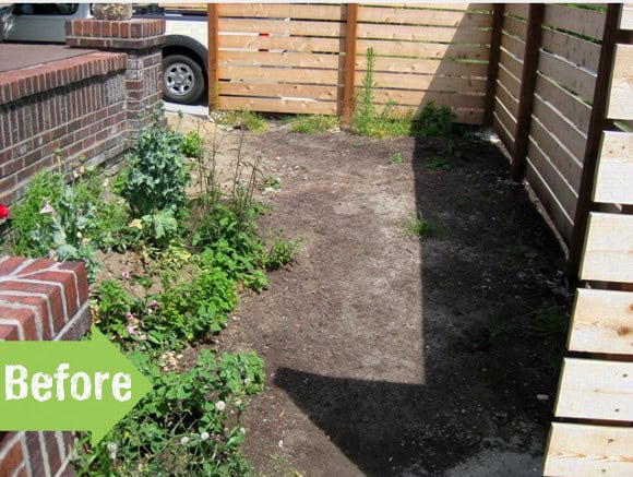 A small Seattle garden with patchy soil and sparse greenery. A wooden fence stands on the right, while a brick wall frames the left. A "Before" label is placed on the bottom left corner, setting the stage for a stunning before-and-after transformation to new heights.