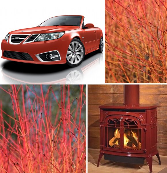 red saab, red stove, winter flame dogwood www.pithandvigor.com