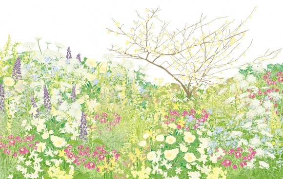 Spring inspiration botanical illustration by Hannah McVicar
