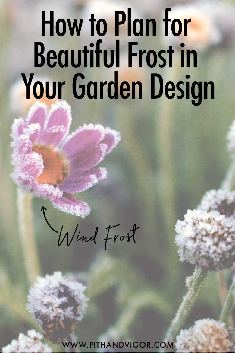 How to Plan for Beautiful Frost in Your Garden Design - Wind frost of the edges of garden flowers