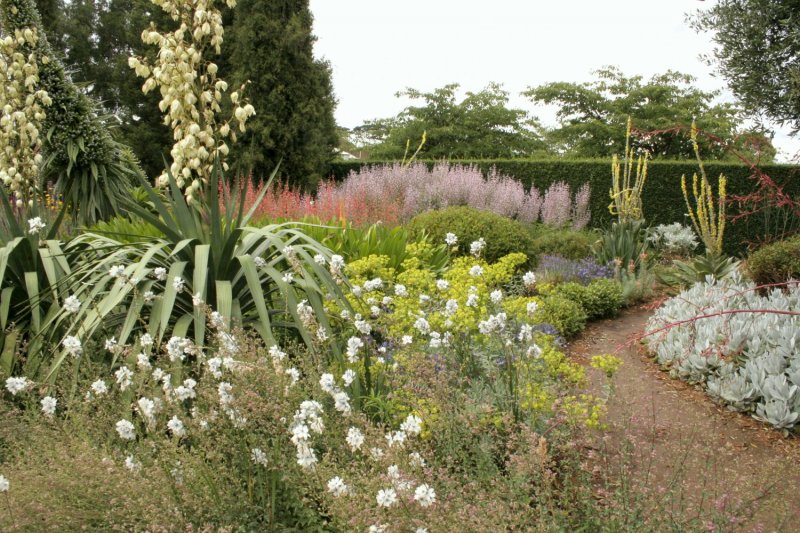 A garden with many different types of plants.