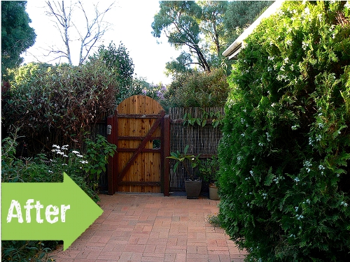 gate, sideyard, entrance, patio, brick, plants, shrubs, after, yard, landscape, stained