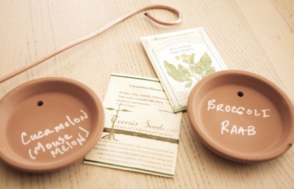 DIY Terracotta Plant Markers from www.pithandvigor.com