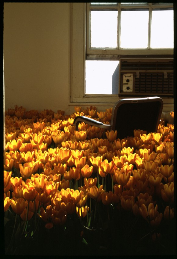 BLOOM-by-Anna-Schuleit-Tiny-Office-with-Tulips