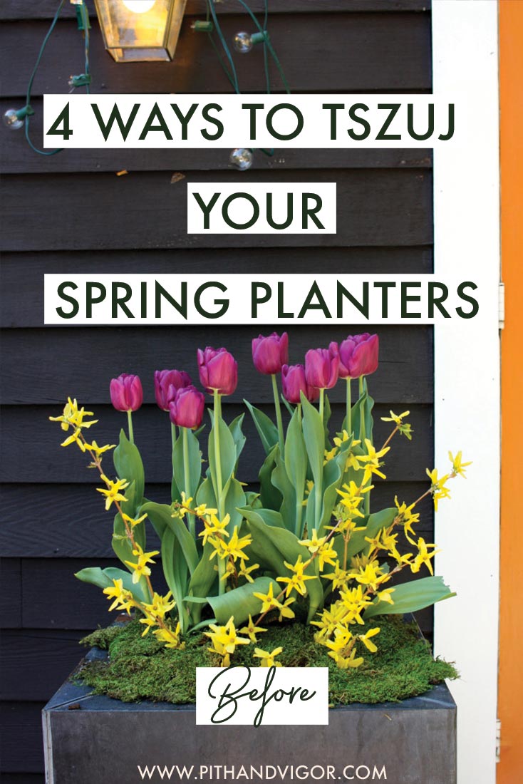 4 ways to tszuj your spring planters - container garden by Rochelle greayer 