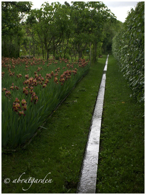 Alchemist's garden rill by about gardens via www.pithandvigor.com