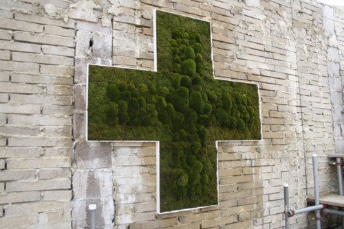 moss wall urban physic garden