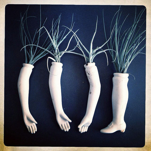 airplants and body parts creepy halloween planting ideas via www.pithandvigor.com