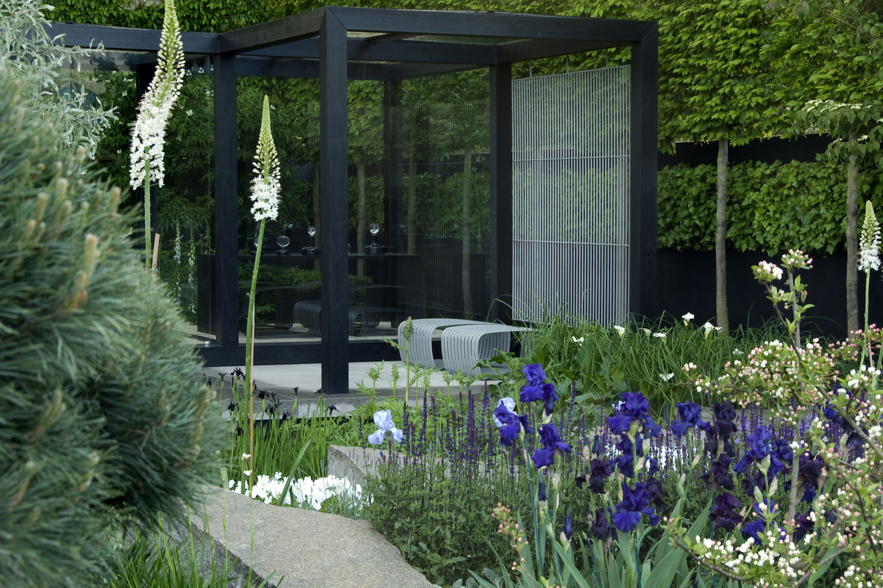 A modern glass-walled garden pavilion, designed by Ulf Nordfjell, is surrounded by lush greenery and colorful flowers, including tall white blossoms and vibrant purple irises. A wooden pathway leads to the structure, nestled within neatly trimmed hedges.