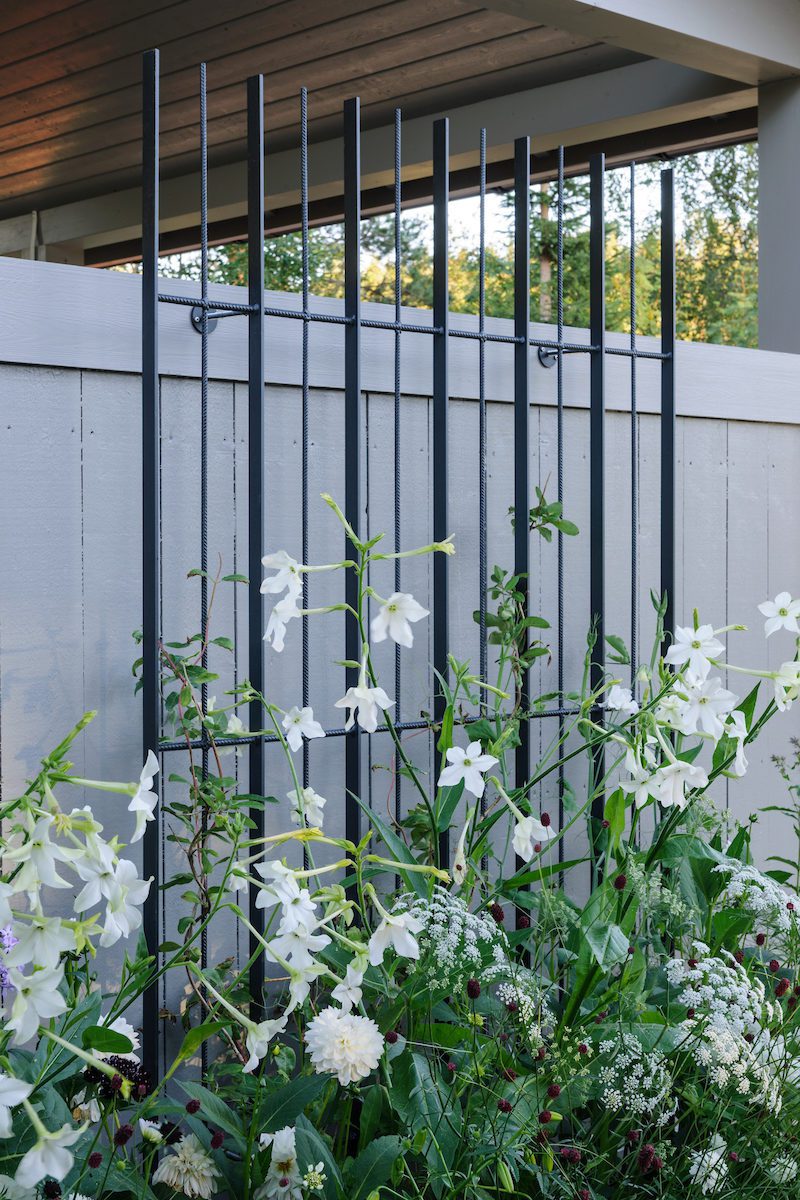 Vertical metal bars adorn a gray wooden fence, reminiscent of Ulf Nordfjell's design style, with abundant white flowers and green foliage in the foreground. Sunlight filters through, highlighting the vibrant garden scene.