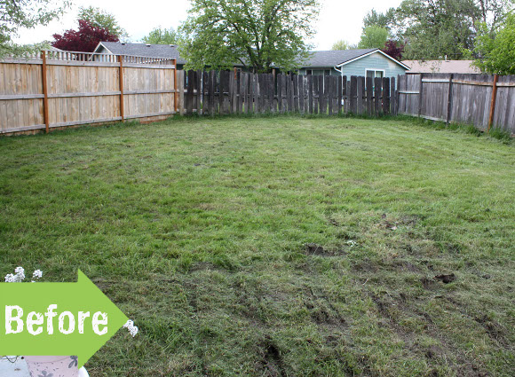backyard, fence, new, makeover, transformation, before and after