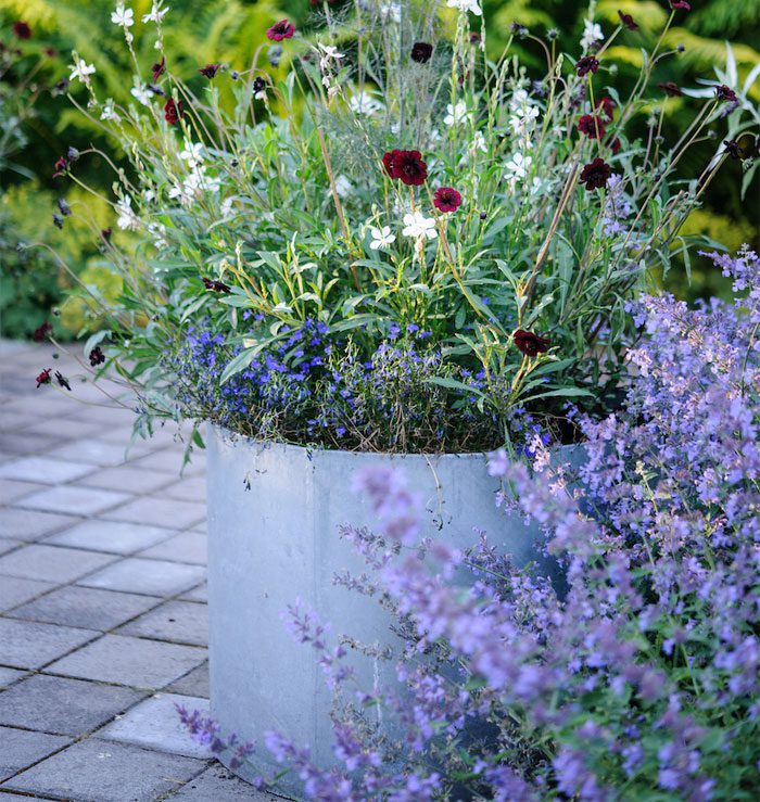 Inspired by Ulf Nordfjell, a metal planter brimming with vibrant wildflowers—deep red, white, and purple—graces a paved patio. In the foreground, lush purple blooms frame the scene, set against a backdrop of verdant foliage.