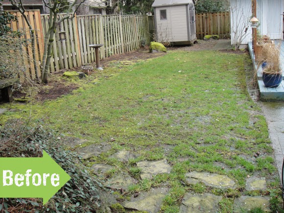 muddy backyard before & after, path, yard, makeover, flagstone, narrow, long, privacy fence