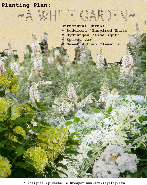 White garden plants inspiration from rochelle greayer @ pithandvigor 