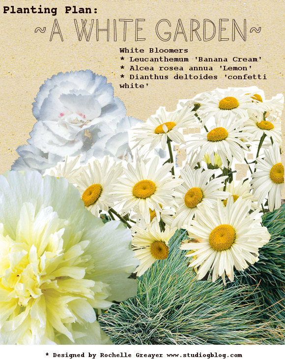 White garden plants inspiration from rochelle greayer @ pithandvigor