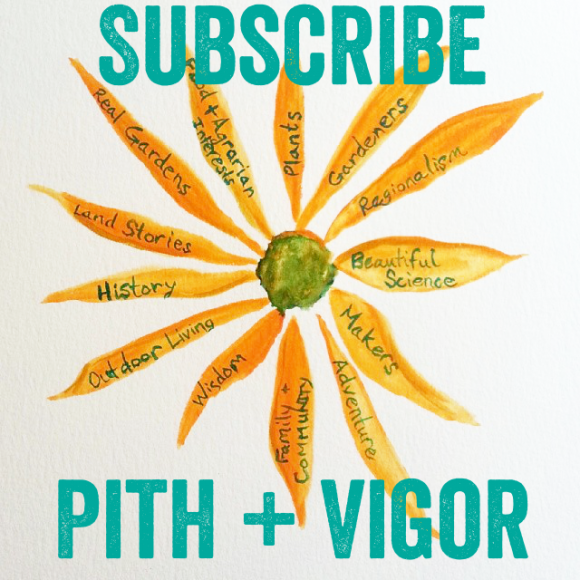 Subscribe to Pith + VIgor Newspaper and Digital Magazine
