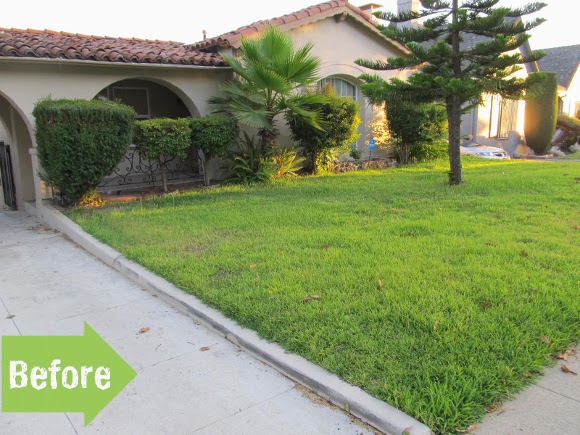 before, after, makeover, succulents, no lawn, remove grass, spanish, california, front yard