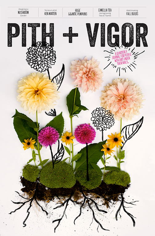 Cover Issue #1 PITH + VIGOR magazine
