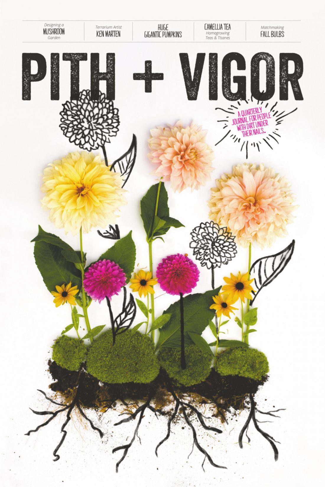 1 Cover of PITH + VIGOR newspaper