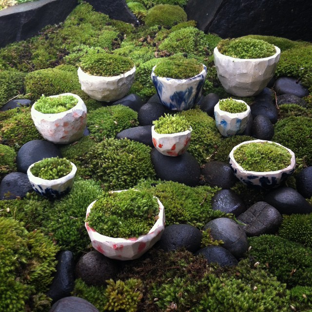 A group of moss covered bowls in a backyard yoga space.