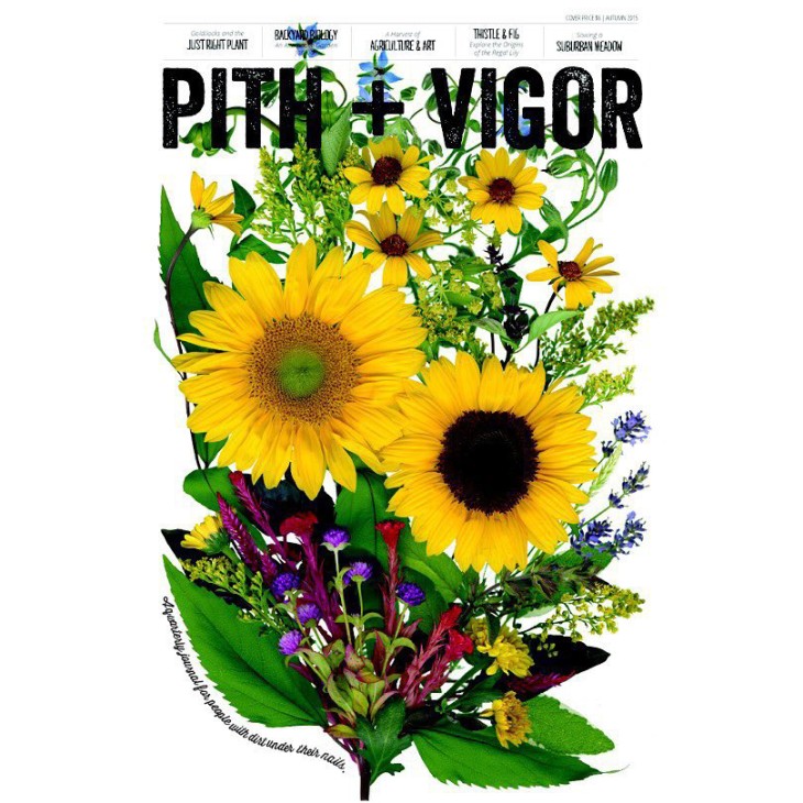 The Autumn 2015 issue of Pith + Vigor is coming soon (first week of September)...make sure you have your subscription! www.pithandvigor.com/subscribe #newspaper #magazine #covershot #flowers #floweroftheday #flowerstagram #instaflower #garden #gardens #gardening #gardenstyle #beautiful #gardendesign