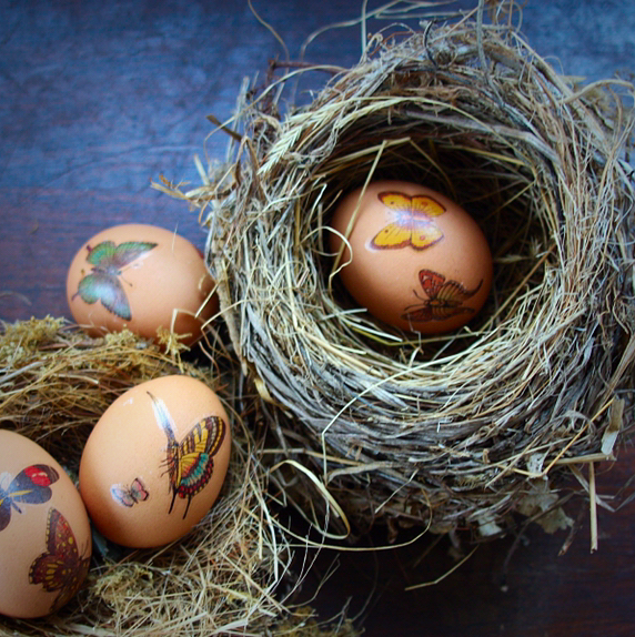 Butterfly tattoo easter eggs in collected nests by rochelle greayer www.pithandvigor.com