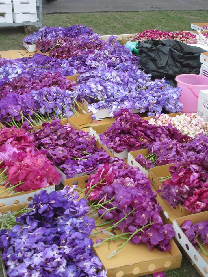 Flowers prepped for the Thai stand.