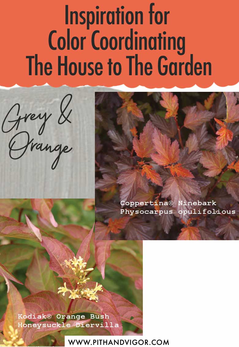 Do you color coordinate your house to your garden? Some ideas to give it a try.