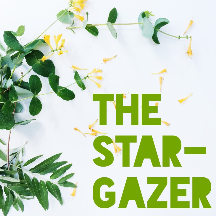 The stargazer cocktail - and how to infuse flowers into cocktails www.pithandvigor.com
