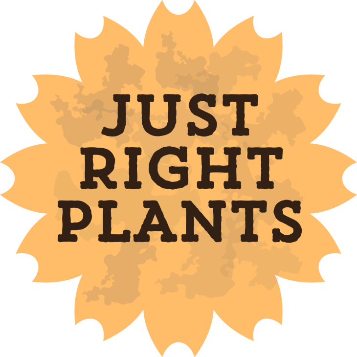 Too big, Too much Work, Too Fussy - find the just right plant for your garden. www.pithandvigor.com
