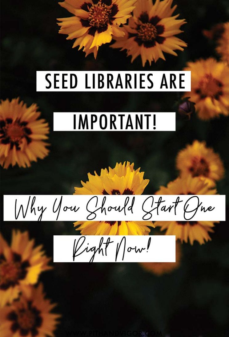 Seed Libraries are Important! Why You Should Start One Right Now