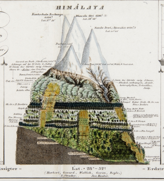 Alexander von Humboldt's illustration's of mountain zones.