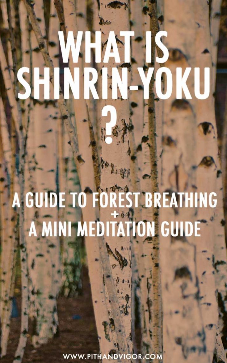 What is Shinrin-Yoku? A guide to forest breathing and a mini meditation guide