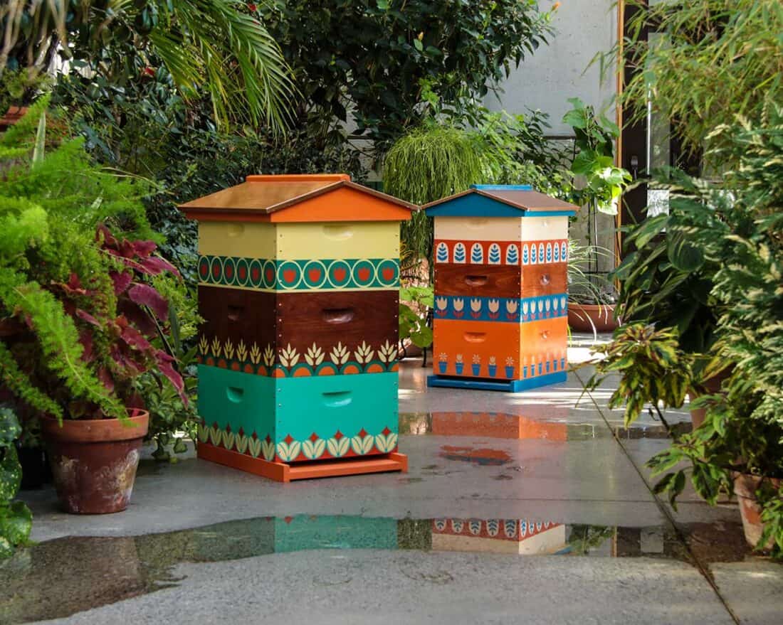 Colorful, hand-painted bee hive art is placed amidst lush greenery in a garden. The hives display vibrant patterns and motifs, reflecting various design styles. The wet ground suggests a recent rain, adding a fresh look to the surroundings.