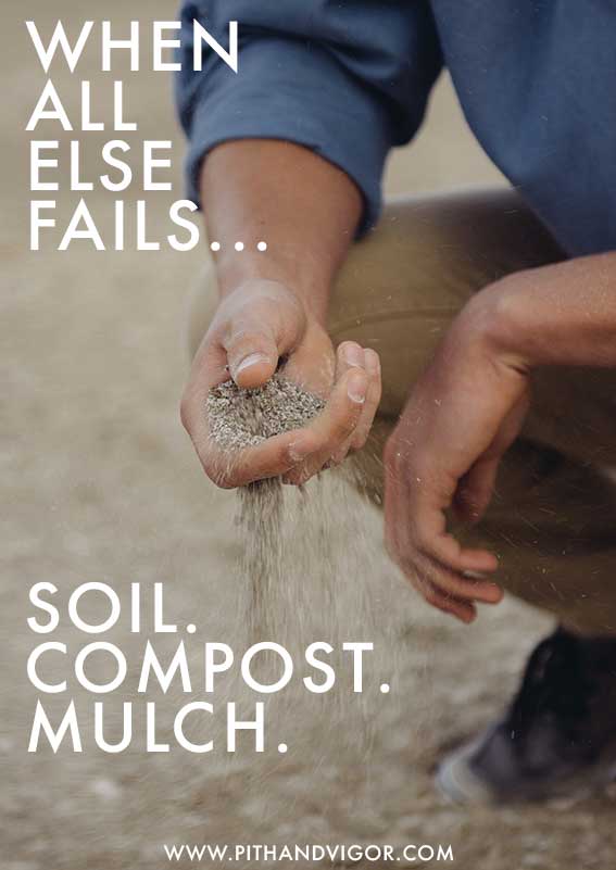 When all else fails, Soil. compost. mulch.