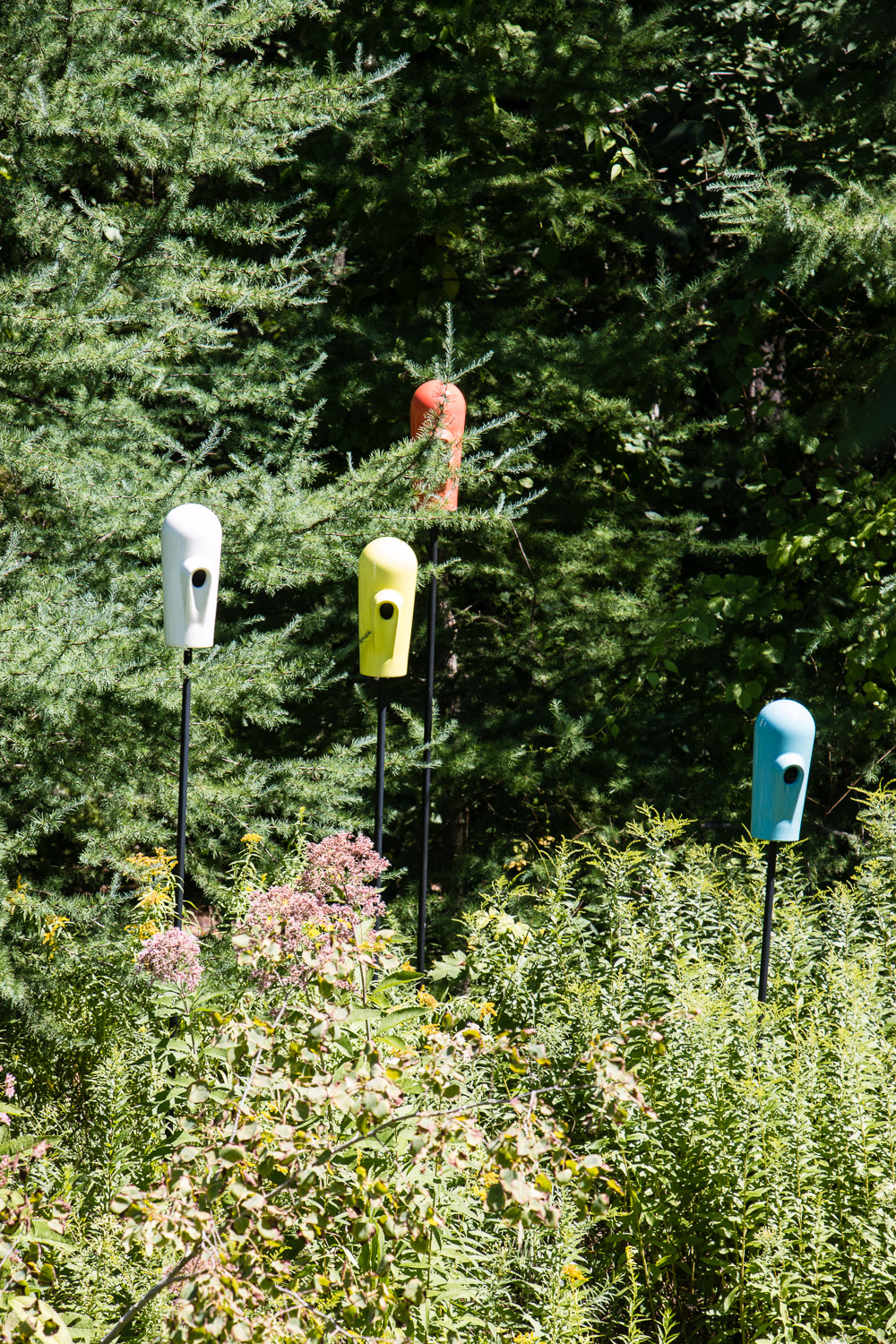 Four colorful birdhouses, painted white, yellow, orange, and blue, are mounted on tall black poles amidst dense green foliage and wildflowers. The birdhouses stand out against the backdrop of lush green trees in a garden setting reminiscent of the DeCordova Museum grounds.