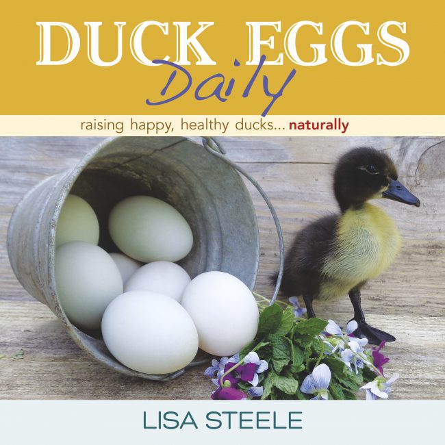 st-lynns-press-duck-eggs-daily-cvr