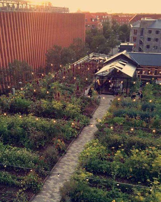 Before and After of OsterGRO urban rooftop farm in Denmark