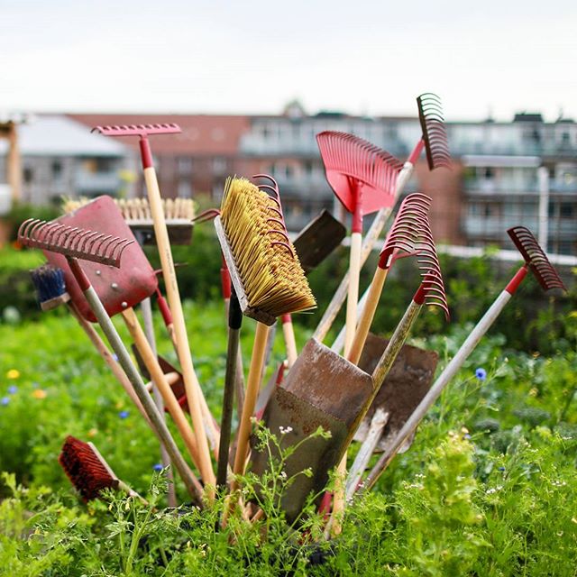 Garden Tools at OsterGRO urban rooftop farm in Denmark