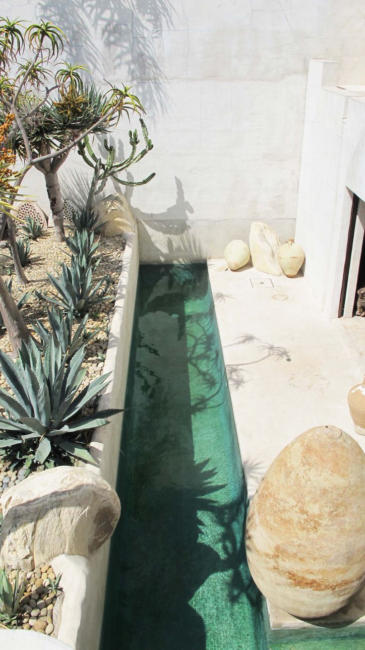 Morrocan inspired garden designed by Phillip Dixon in Venice California.