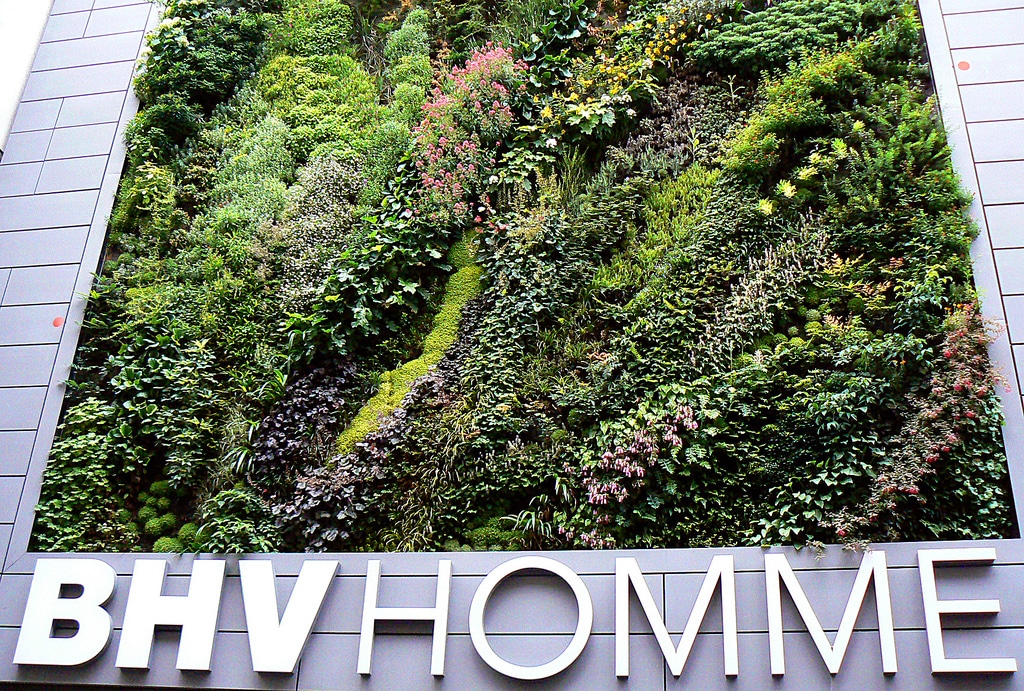 BHV Homme Paris vertical garden by Patrick Blanc image by Christine Vaufrey