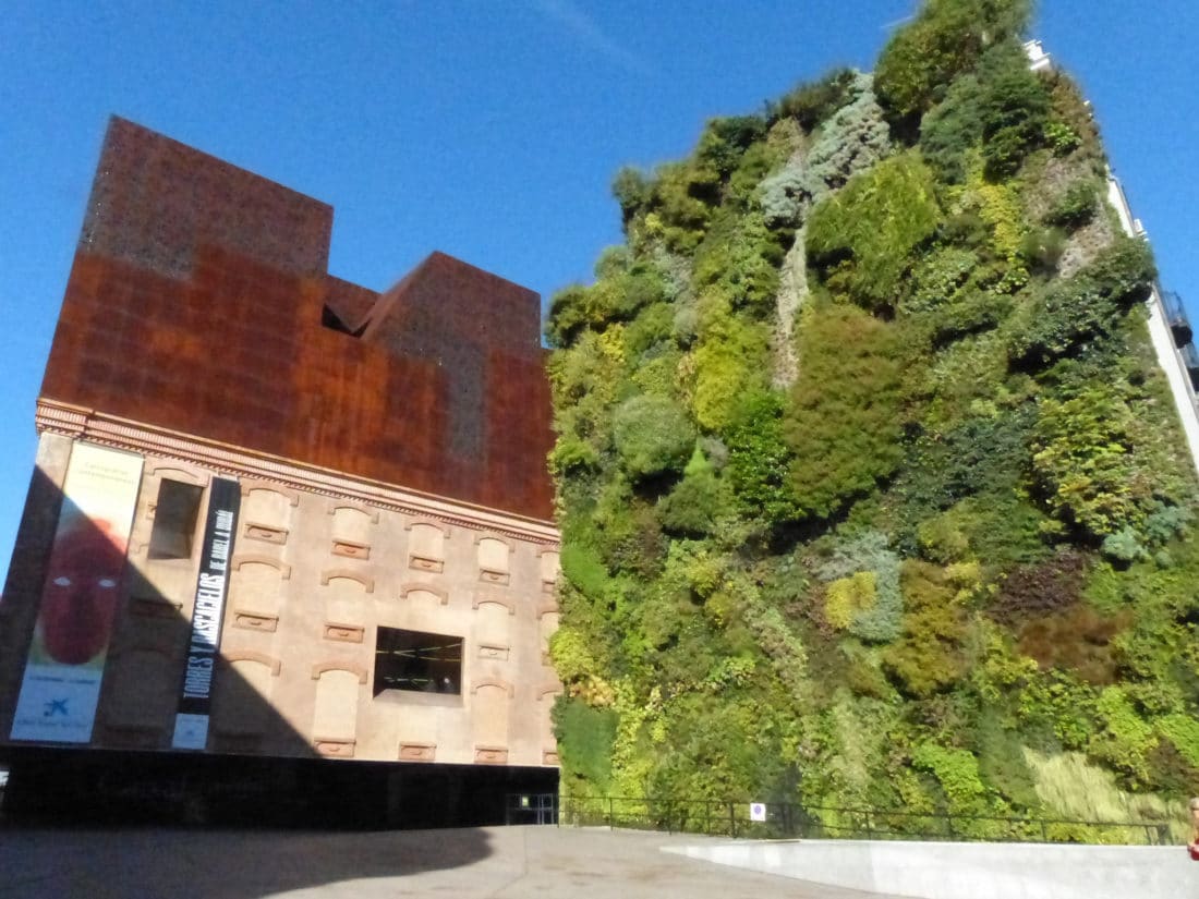 Patrick Blanc vertical garden at the CaixaForum in Madrid image by Steve Siverman