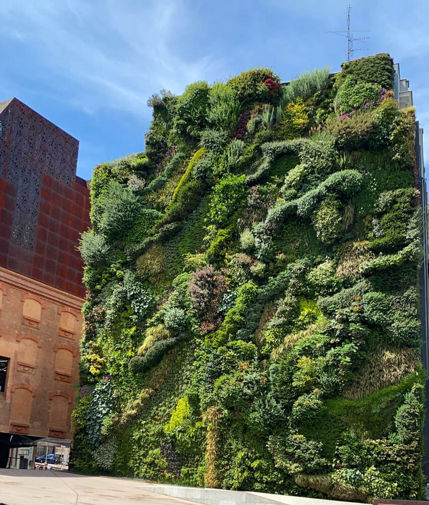 Patrick Blanc vertical garden at the CaixaForum in Madrid image by