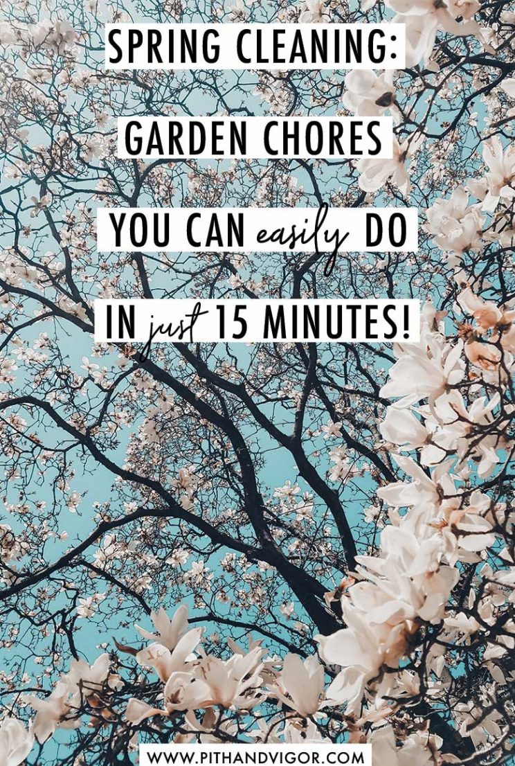 Spring Cleaning 5 garden chores you can do in 15 minutes. 
