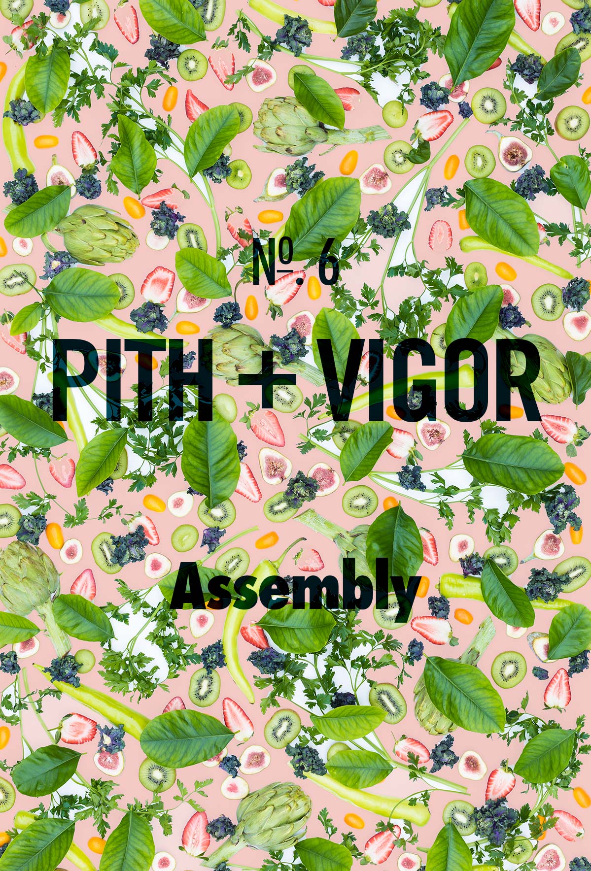 Welcome to Issue No. 6 of Pith + Vigor. The theme was Assembly this issue shares a wide variety if stories about coming together, assembling, and making.