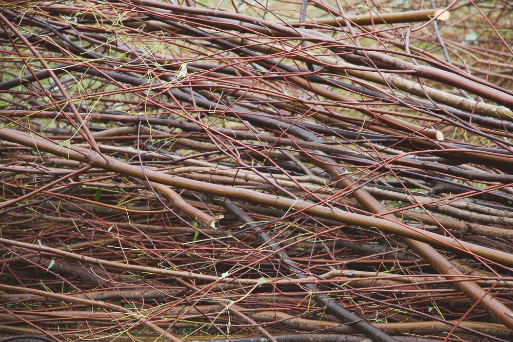 sticks in preparation for a patrick dougherty installation at Tower Hill botanic garden by rochelle greayer