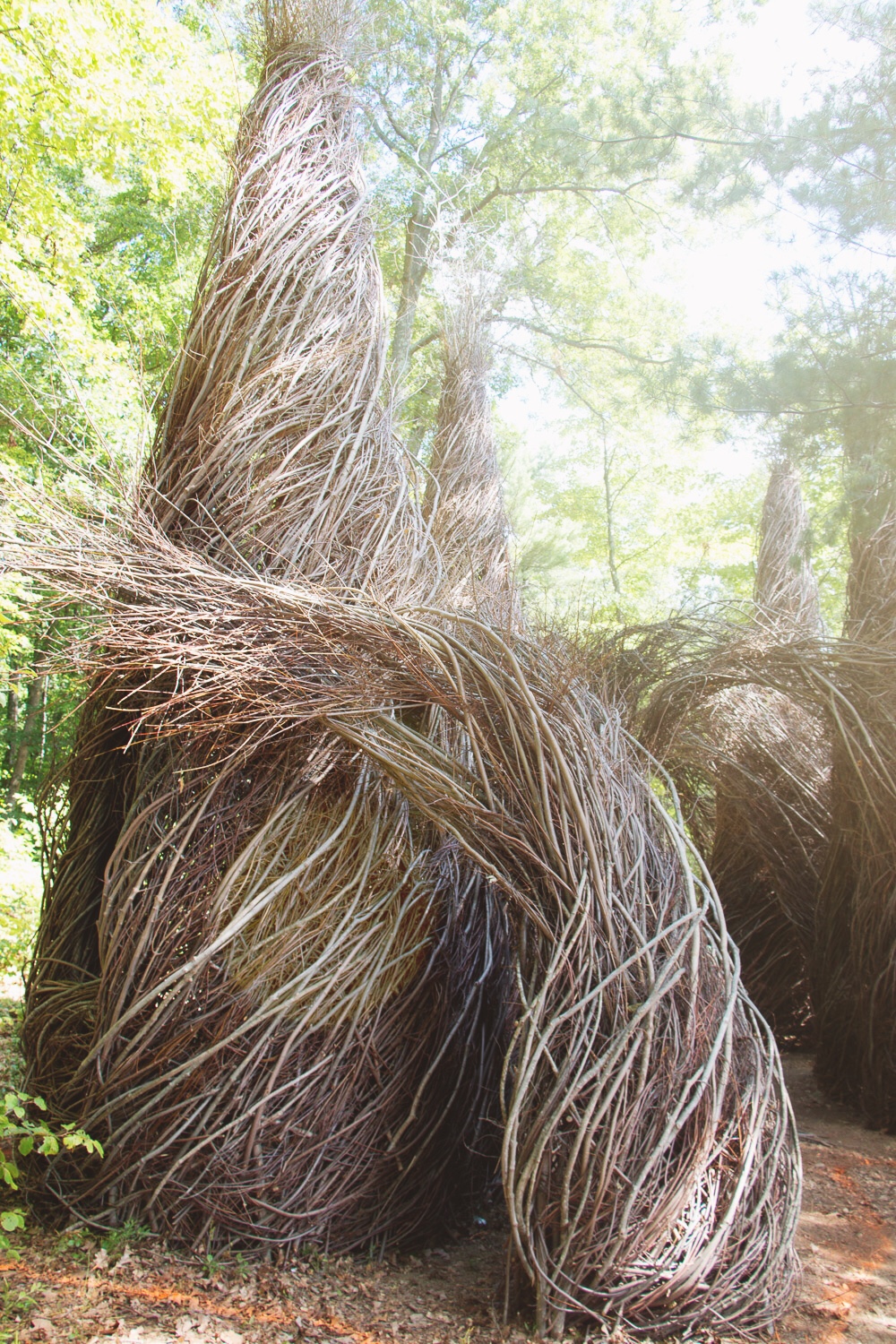 Patrick Doughertry sculpture at tower hill botanic garden- photo: rochelle greayer