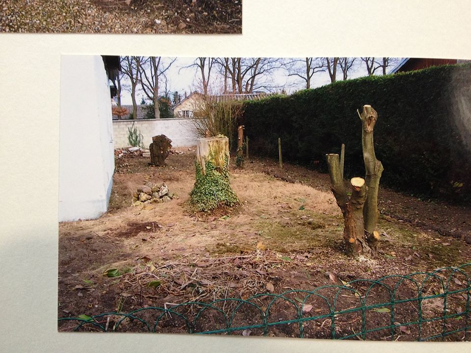 A garden makeover in France. Before - click through to see the after.